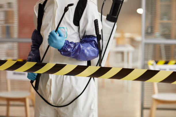 Professional Hoarding Cleanup technician working in Wimberley, TX